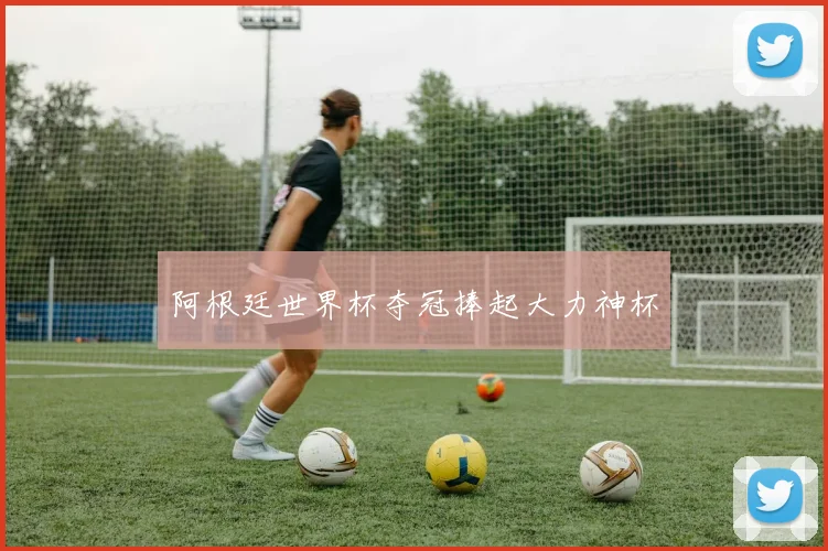 阿根廷世界杯夺冠捧起大力神杯