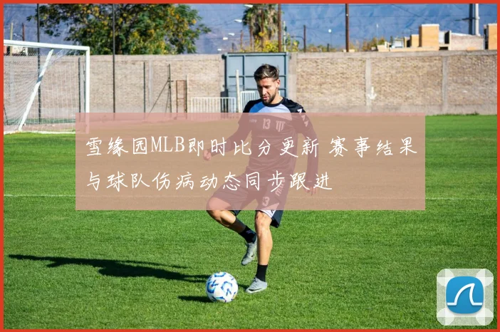 雪缘园MLB即时比分更新 赛事结果与球队伤病动态同步跟进