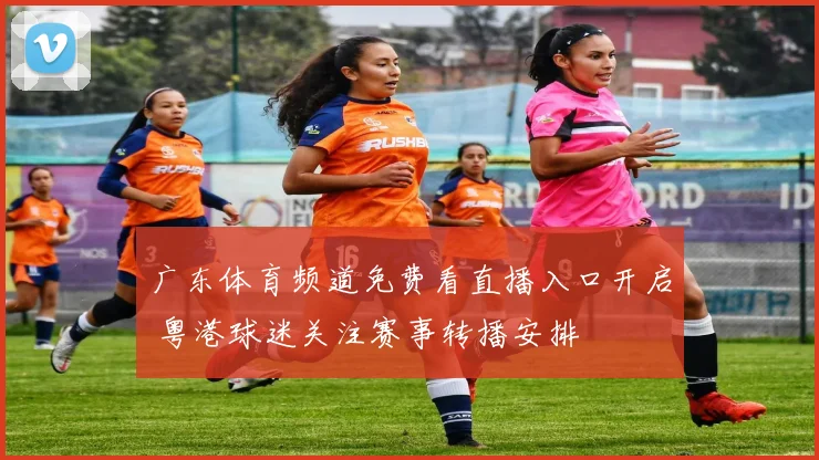 广东体育频道免费看直播入口开启 粤港球迷关注赛事转播安排