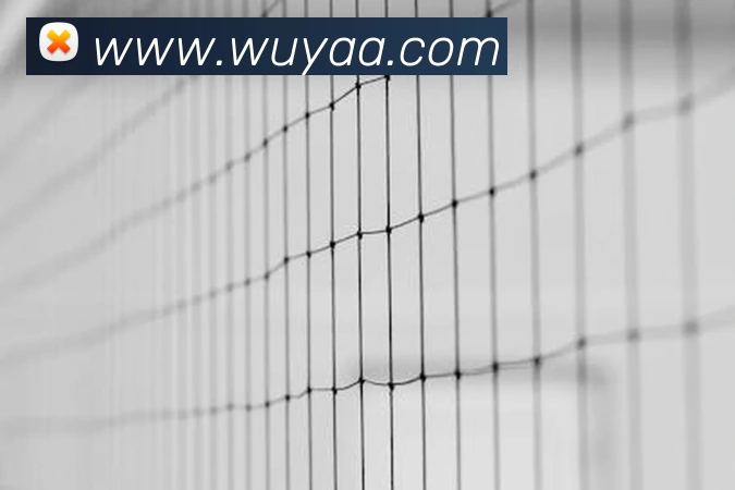 App Interface Preview