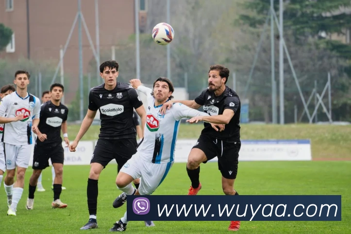 星空官方网站平台APP 封面图