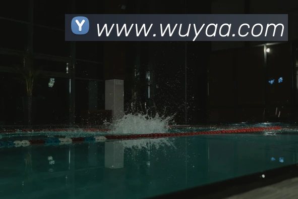 数据防护可视化